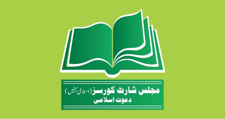 Owl Image